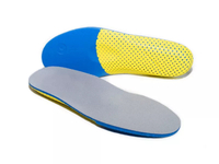 //iororwxhpppklp5m.ldycdn.com/cloud/lmBpjKiplkSRnlomkmqokp/Top-Athletic-Insoles-Manufacturers-and-Suppliers-in-France.jpg