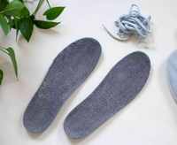 //iororwxhpppklp5m.ldycdn.com/cloud/lqBpjKiplkSRllirnqroko/how-to-remove-shoe-insoles.jpeg