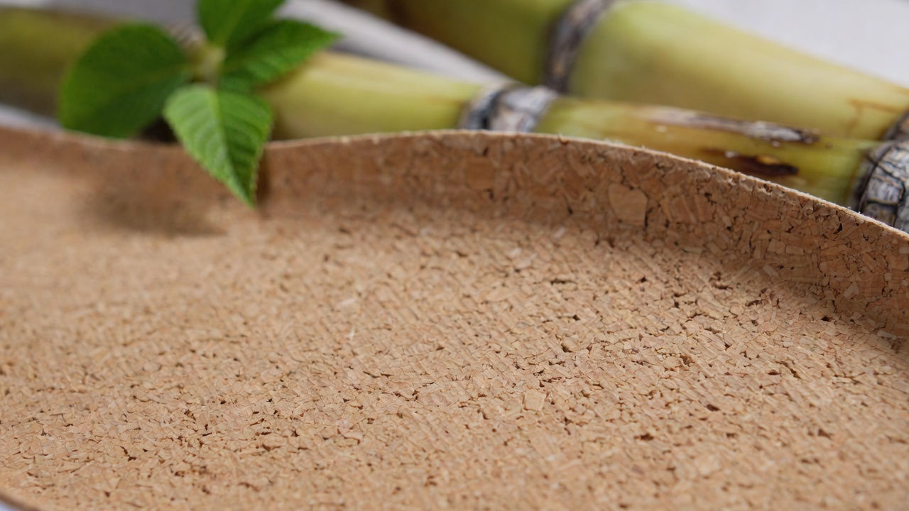 Sustainable and Bio Based Insole Materials.jpg